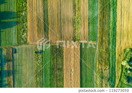 Top view of cultivated soy and wheat field in summer. Rural landscape. Nature background Top view of cultivated soy and wheat field in summer. Rural landscape. Nature background 119273050
