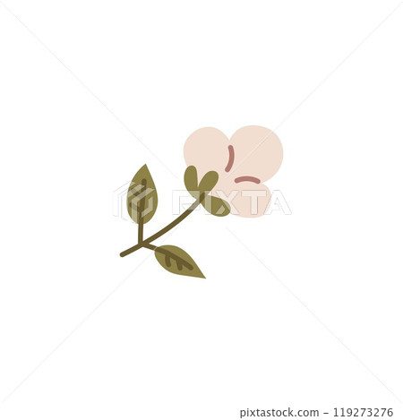 Vector graphic illustration of a cotton flower with a fluffy bud and green leaves. Vector graphic illustration of a cotton flower with a fluffy bud and green leaves. 119273276