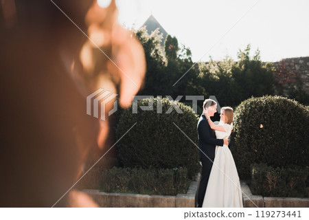 Romantic, fairytale, happy newlywed couple hugging and kissing in a park, trees in background Romantic, fairytale, happy newlywed couple hugging and kissing in a park, trees in background 119273441