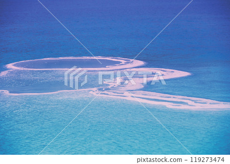 The texture of the Dead Sea. Salted sea shore The texture of the Dead Sea. Salted sea shore 119273474
