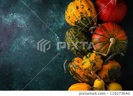 Various decorative pumpkin on green background Various decorative pumpkin on green background 119273640