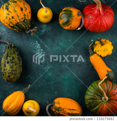 Various decorative pumpkin on green background Various decorative pumpkin on green background 119273681