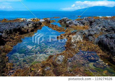 Tide Pools in Lava Shoreline, Maui, Hawaii Tide Pools in Lava Shoreline, Maui, Hawaii 119274026