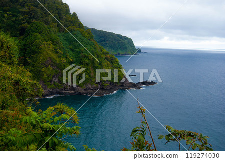 Forest Coastline in Maui Hawaii 119274030