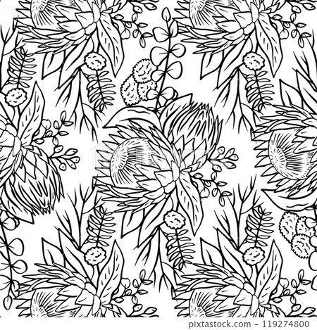 Black and white seamless pattern with line art protea flowers Black and white seamless pattern with line art protea flowers 119274800