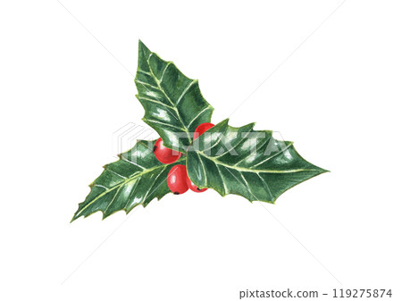 Holly berries with leave watercolor illustration in realistic style. Traditional red berry Xmas symbol for Christmas decoration, festive poster, greetings Holly berries with leave watercolor illustration in realistic style. Traditional red berry Xmas symbol for Christmas decoration, festive poster, greetings 119275874