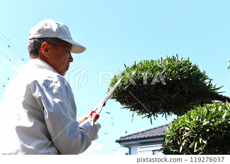 老人修剪庭院樹 119276037