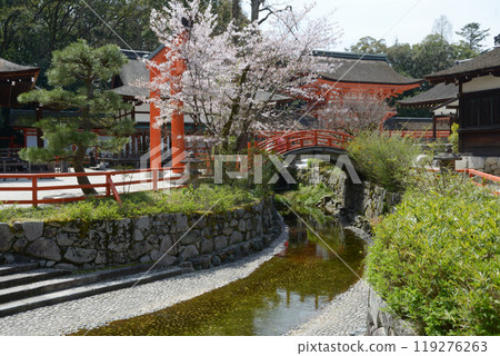 Shimogamo Shrine Mitarashi River Sakyo Ward, Kyoto City 119276263