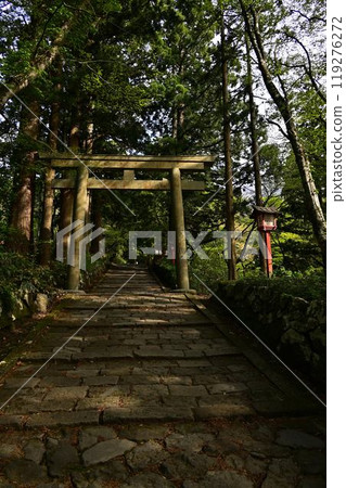 鮮綠的大神山神社 鮮綠的大神山神社 119276272