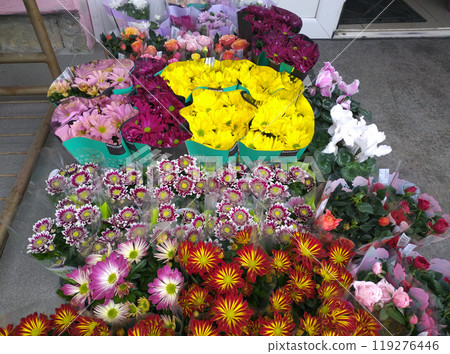 sale of flowers in pots on the street in front of a flower shop 119276446