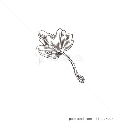 Realistic vector sketch of a black-and-white sheet on a white background Realistic vector sketch of a black-and-white sheet on a white background 119276902