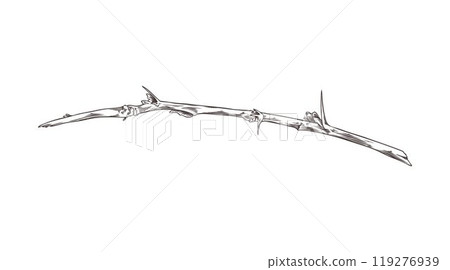 Vector graphics with twig with thin thorns and buds in a hand-drawn style Vector graphics with twig with thin thorns and buds in a hand-drawn style 119276939