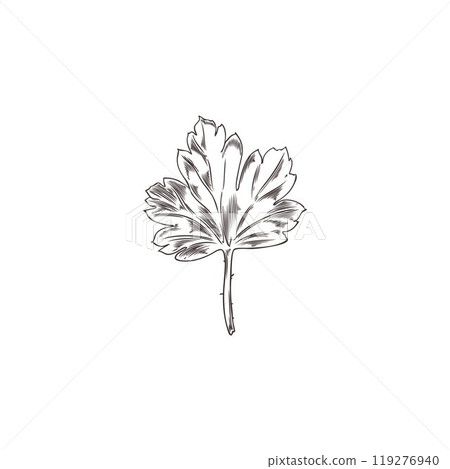 A black-and-white vector sketch of a sheet made by hand in a realistic style A black-and-white vector sketch of a sheet made by hand in a realistic style 119276940