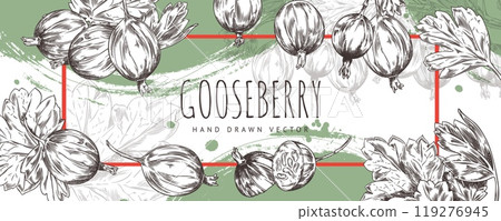 Gooseberry with leaves. Horizontal banner. 119276945