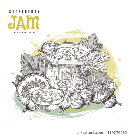 Vector illustration with a glass jar of jam made from fresh gooseberry and kiwi berries 119276983