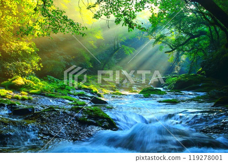 Beautiful rays of light shine through Kikuchi Valley (Kikuchi City, Kumamoto Prefecture) Beautiful rays of light shine through Kikuchi Valley (Kikuchi City, Kumamoto Prefecture) 119278001