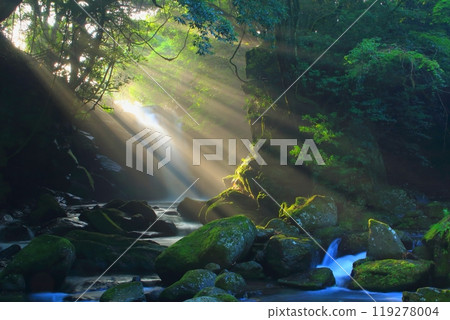 美麗光芒的夫妻瀑布（熊本縣南小國町） 119278004