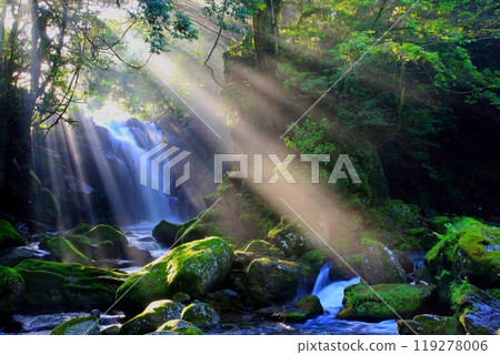 美麗光芒的夫妻瀑布（熊本縣南小國町） 119278006