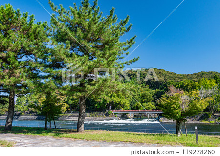 從京都府宇治市宇治公園遠島眺望關龍橋 119278260