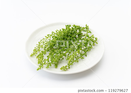 Perilla fruit on a plate 119279627