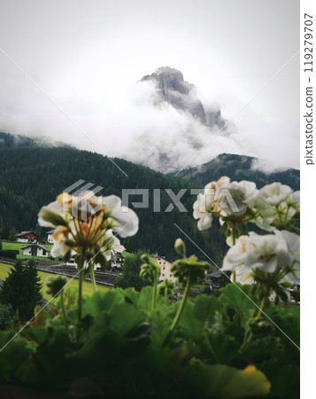 Mountain View Through Flowers 119279707