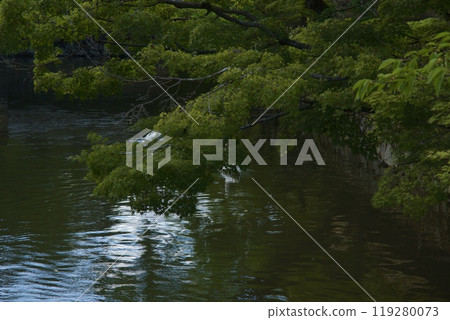 岡山縣倉敷美觀地區風景 119280073