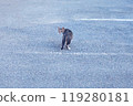 Cat walking on the road 119280181