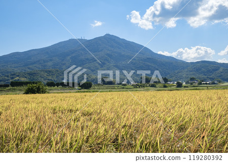 Koshihikari rice ripened at the foot of Mt. Tsukuba in autumn Koshihikari 119280392