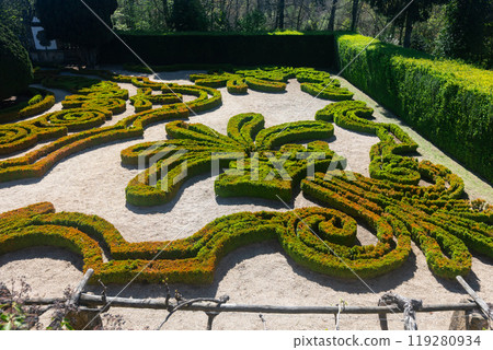 Impressive garden of Mateus Palace. Vila Real Impressive garden of Mateus Palace. Vila Real 119280934