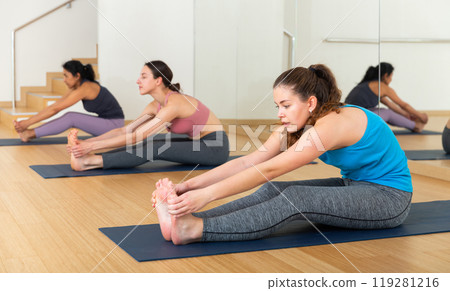 Sporty females doing stretching workout during group training Sporty females doing stretching workout during group training 119281216
