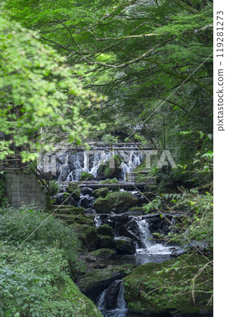 Autumn Kibune River: The murmuring of the river 119281273