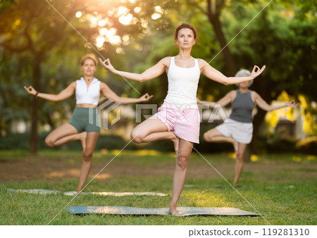 Woman performing Tree Pose during group yoga session in park Woman performing Tree Pose during group yoga session in park 119281310