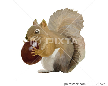 Squirrel (with chestnuts) Squirrel (with chestnuts) 119281524