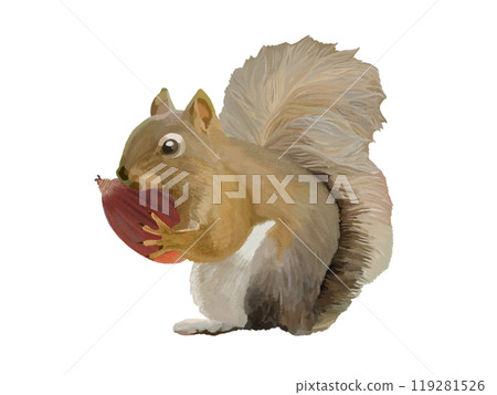 松鼠（帶橡實） 119281526