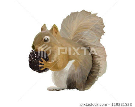 Squirrel (Blackberry) Squirrel (Blackberry) 119281528