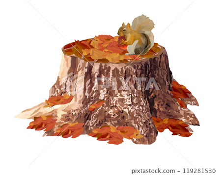 Stump (withered stump) with fallen leaves and squirrels 119281530