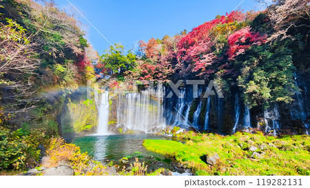 Shiraito Falls (Autumn) [Fujinomiya City] 119282131