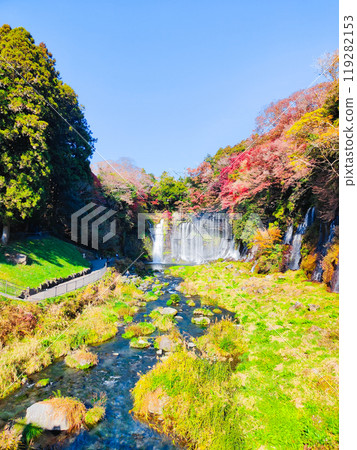 Shiraito Falls (Autumn) [Fujinomiya City] 119282153