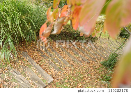 公園階梯上堆積著枯葉和秋葉【十月】 119282178