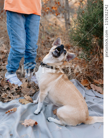 Funny friendly dog with kids outdoor 119282242