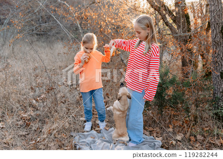 Child girls playing with dog outdoor in autumnal forest 119282244