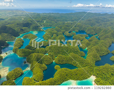 Beautiful group of lagoon in Sohoton Cove. Mindanao, Philippines. 119282860