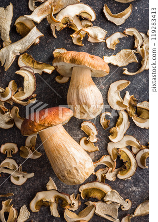 Dried porcini mushrooms. Sliced boletus on black table. Top view. Dried porcini mushrooms. Sliced boletus on black table. Top view. 119283413