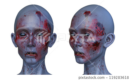 female zombie face female zombie face 119283618