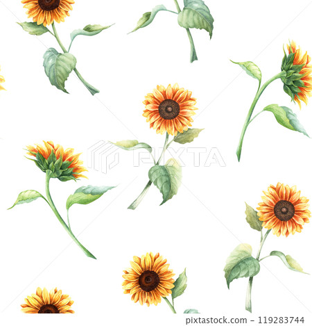 Watercolor seamless pattern with yellow sunflower branches. Hand drawn repeat pattern isolated on white background for wrapping wallpaper fabric textile 119283744
