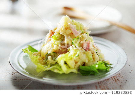 土豆沙拉 119283828