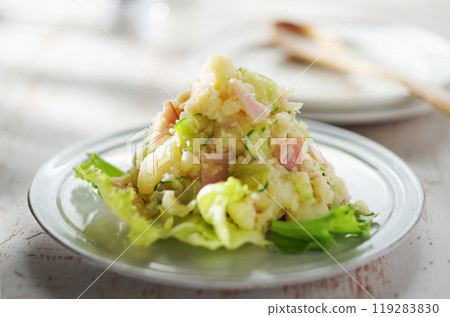 potato salad potato salad 119283830