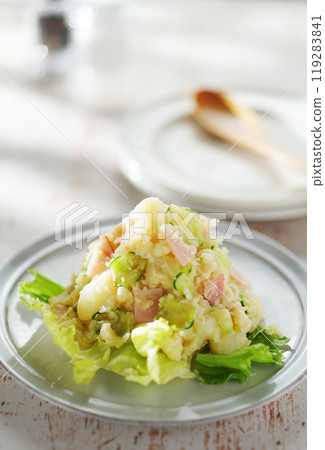 potato salad 119283841