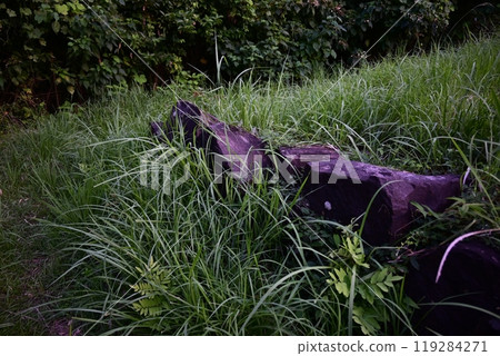 A big stone rolling in a field A big stone rolling in a field 119284271