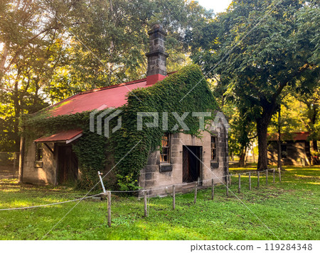 北海道大學農學部第二農場蒲場 2024 年 9 月 北海道大學農學部第二農場蒲場 2024 年 9 月 119284348